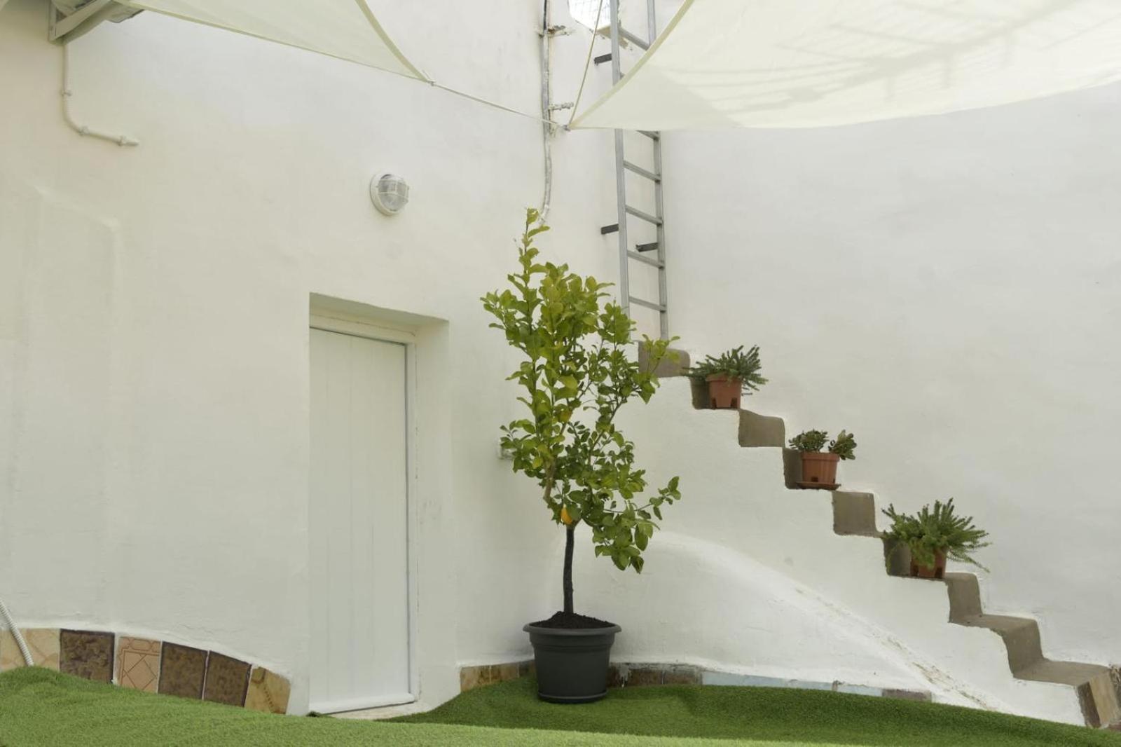 Madre Terra Airport Rooms And Suites Terrasini Extérieur photo
